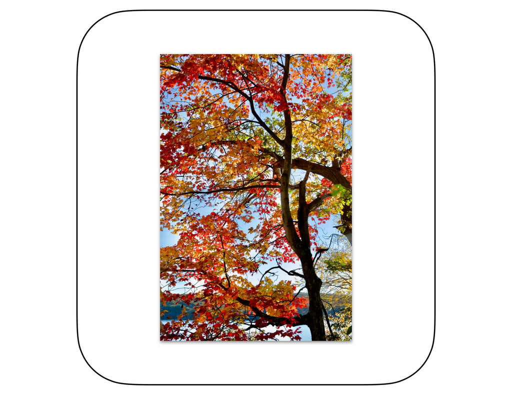 Harriman, New York - October 21, 2025 -