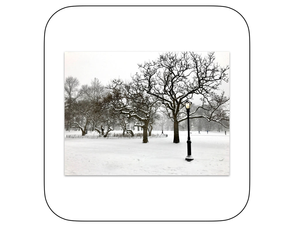 Central Park, New York - January 7, 2017