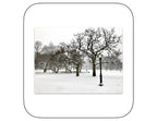 Central Park, New York - January 7, 2017