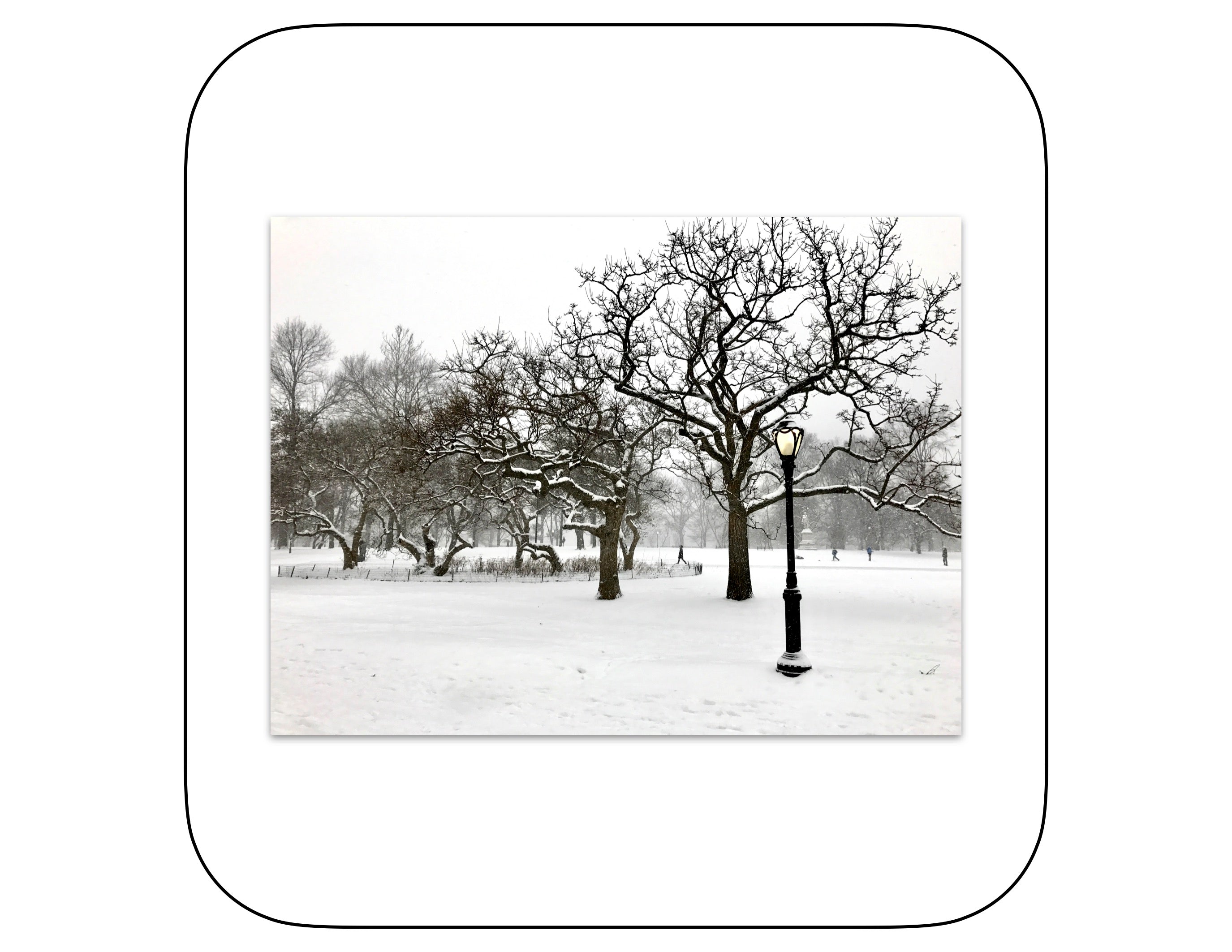 Central Park, New York - January 7, 2017