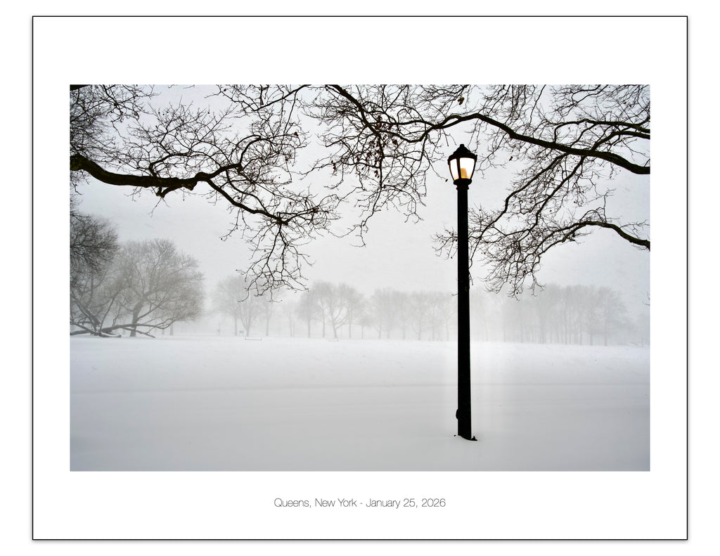 Queens, New York - January, 25, 2026