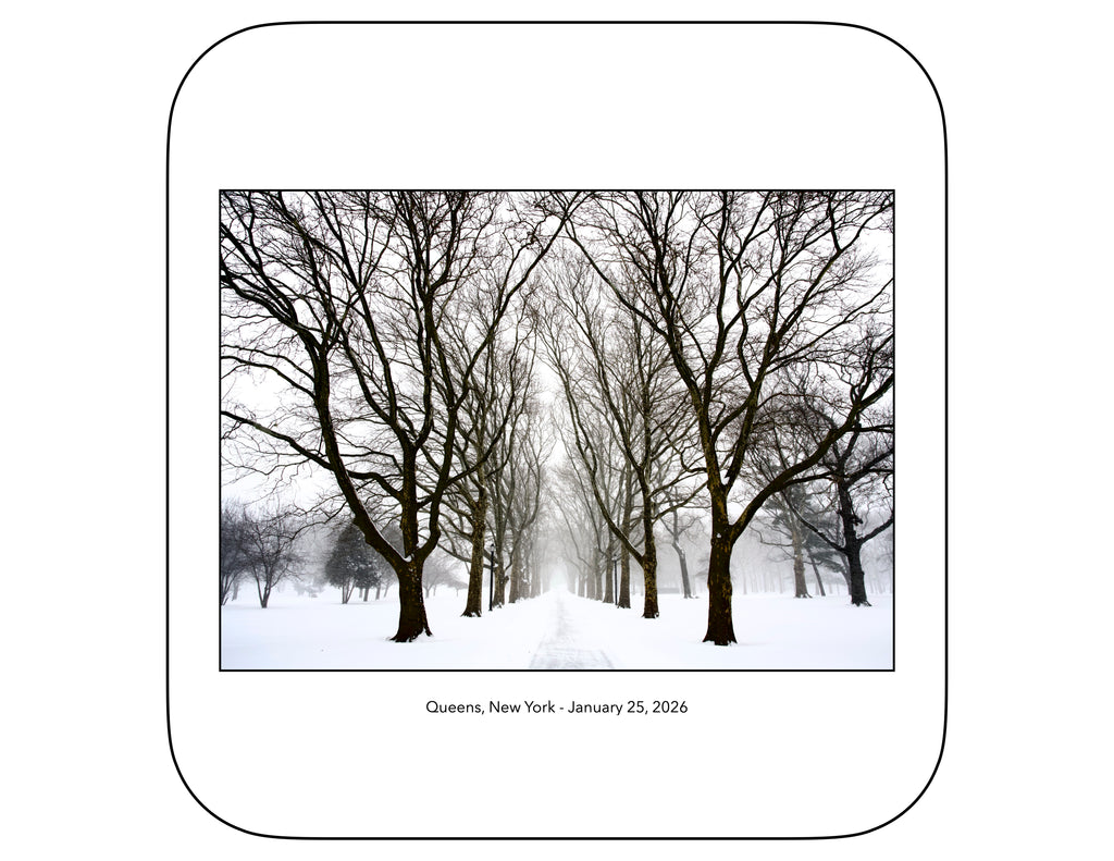 Queens , New York - January, 25, 2026 -
