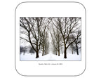 Queens , New York - January, 25, 2026 -