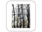 April 4, 2025 - Cumberland, Maine