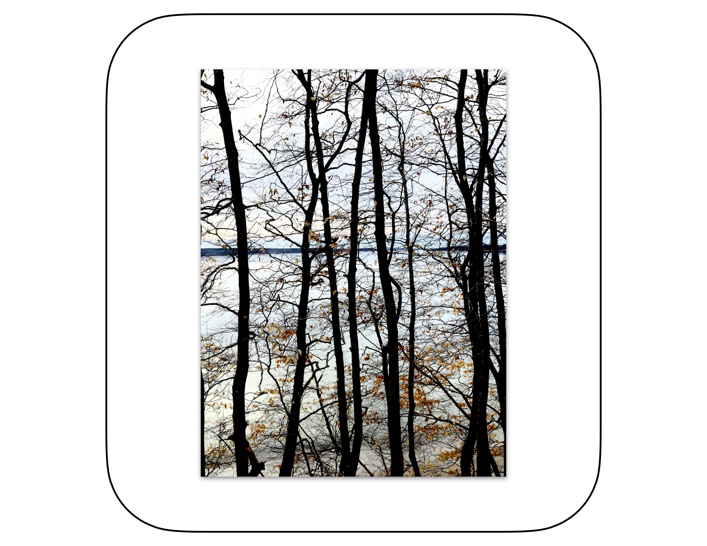 April 4, 2025 - Cumberland, Maine